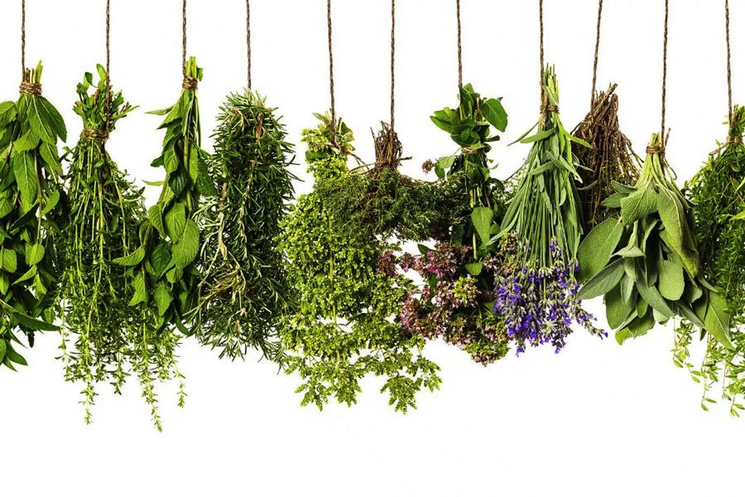 atogrąžų žolelių ekstraktas Eroboost